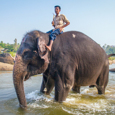 HAMPI, INDIA - FEBRUARY 5, 2013: Lakshmi, the temple elephant, and her keeper on the river bank on February 5, 2013 in Hampi, Karnataka, India.のeditorial素材