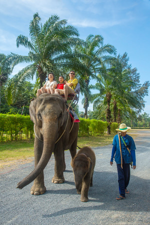 PHUKET, THAILAND - FEBRUARY 10: Unidentified family on an elephant ride tour with small baby elephant on February 10, 2015 in Phuket, Thailand.のeditorial素材