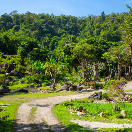 Tropical green garden with a pathway in Thailandの写真素材