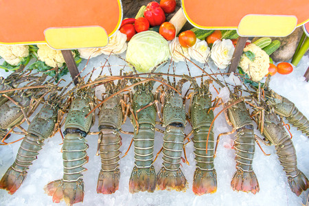 Fresh lobsters on ice in retaurantの写真素材
