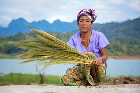 Sangkhlaburi, Kanchanaburi, Thailand - January  12, 2015:  An unidentified Mon ethnic woman separates seeds from rice plant on in harvesting season in Thailandのeditorial素材