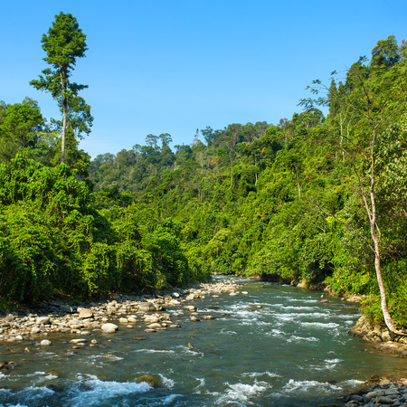 Bukit lawang village, Sumatra, Indonesiaの写真素材