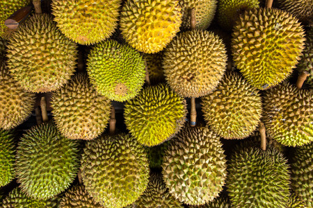 Durian fruits on the marketの写真素材