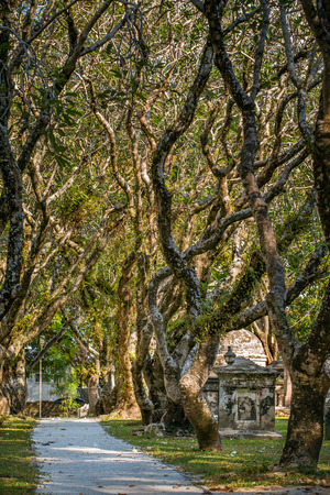 Old protestant cemetery in George Town, Penang, Malaysiaの写真素材