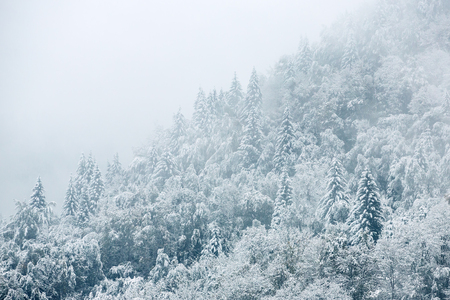 Beautiful winter landscape with snow covered treesの写真素材