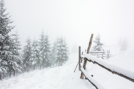 Beautiful winter landscape with snow covered trees and fenceの写真素材