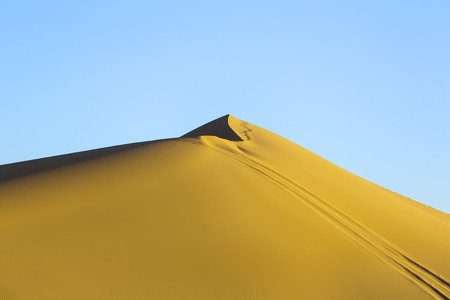 Trace on dune in iranian desert