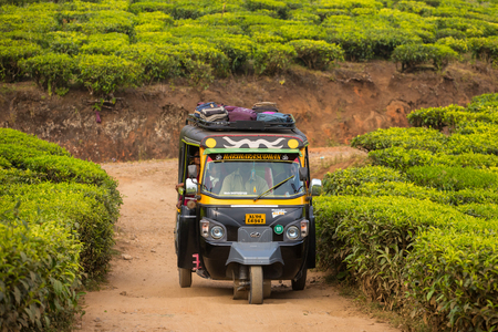 MUNNAR, INDIA - JANUARY 8: Indian Auto Rickshaw travelling through a tea plantation on January 8, 2016 in Munnar, Kerala, India.のeditorial素材