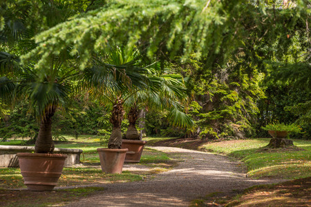 Beautiful park in Montecatini Terme Spa, Italy.の写真素材