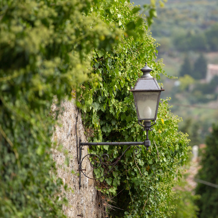 Old metal lantern on the stone wall covered with grape vine in Toscana, Italyの写真素材