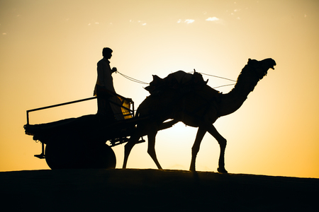 Rajasthan travel background - camel silhouette in dunes of Thar desert on sunset. Jaisalmer, Rajasthan, Indiaの写真素材