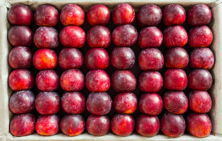 Big plums displayed for sale on the marketの写真素材