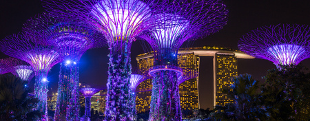 Night view of illuminated Supertree Grove at Gardens by the Bay in Singaporeのeditorial素材