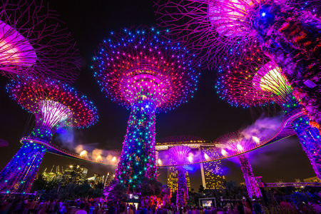 Night view of illuminated Supertree Grove at Gardens by the Bay in Singaporeのeditorial素材