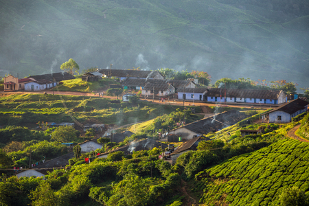 Houses for plantation workers in Munnar tea plantations, Kerala,  Indiaの写真素材