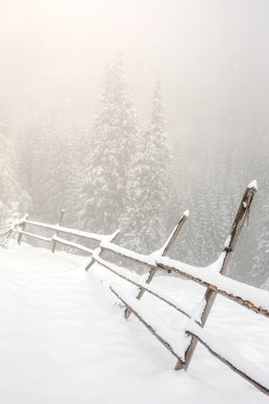 Beautiful winter landscape with snow covered trees and fenceの写真素材