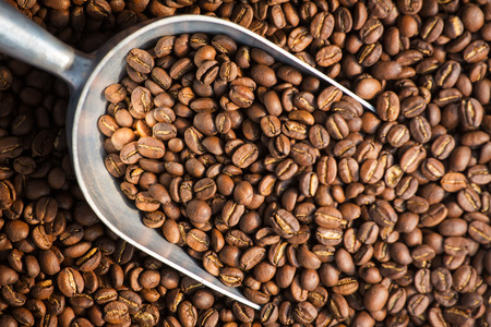 Fresh roasted coffee beans background with the metal scoopの写真素材