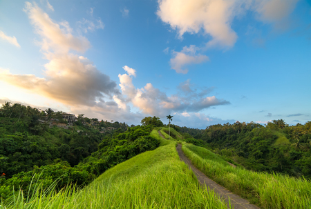 Sunset sky over the famous Campuhan Ridge Walk in Ubud, Bali, Indonesiaの写真素材