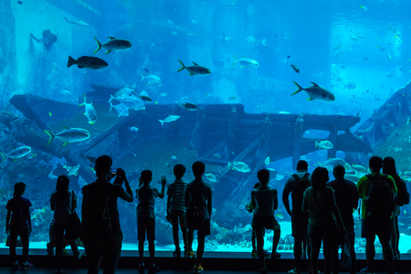 Singapore - June 26, 2016: Unidentified people watch fish in the Singapore Aquarium in Singapore.のeditorial素材