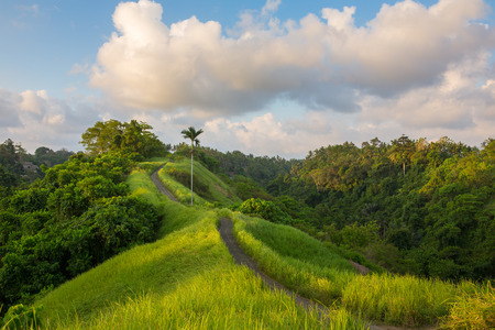 Sunset sky over the famous Campuhan Ridge Walk in Ubud, Bali, Indonesiaの写真素材