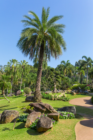 Mae Fah Luang Garden located on Doi Tung in Northern Thailandの写真素材