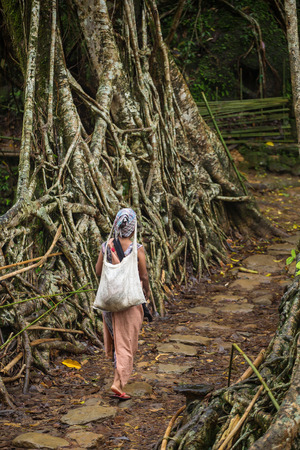 Meghalaya, India - May 15, 2017: Khasi woman from the Riwai village crossing one of the famous living roots bridge in Meghalaya state, India. This bridge is formed by training tree roots over years to knit together.のeditorial素材