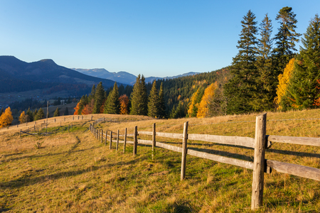 Beautiful autumn landscape with colorful trees in Carpathian mountains, Ukraine. Red, yellow and green fall leavesの写真素材