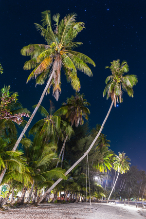 Palm trees on the beach at night on Koh Kood island, Thailandの写真素材