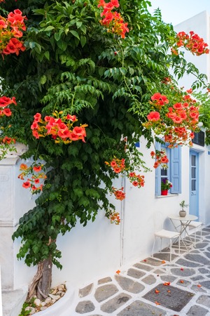 View of a typical narrow street in old town of Naoussa, Paros island, Cycladesの写真素材