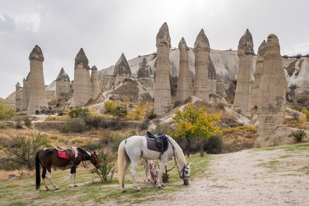 Horses with famous rock formations at background in Love valley, Cappadocia.の写真素材