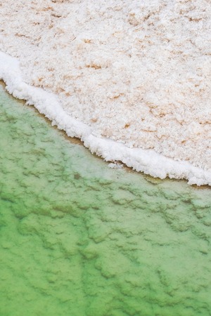 Close up view of salt crystals and mineral formation on the shore of Dead Sea in Israelの写真素材