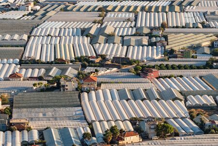 Endless greenhouses at sunset