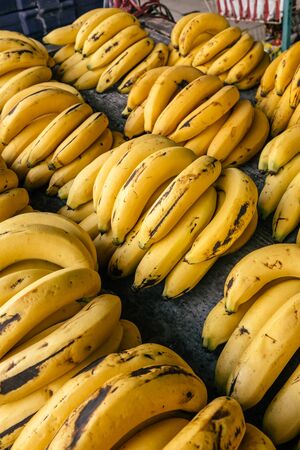 Bunches of ripe bananas on thai market stall