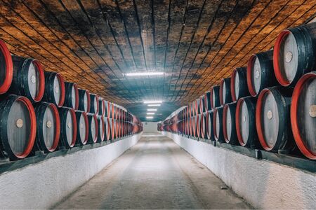 Wine barrels inside the undeground tunnels of a famouse Cricova winery in Moldovaのeditorial素材