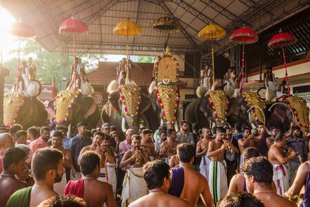 Decorated elephants at temple festival in Siva temple, Ernakulam, Kerala, India