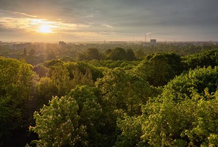 Urban landscape with green park top view and industrial pipes at skyline.の写真素材