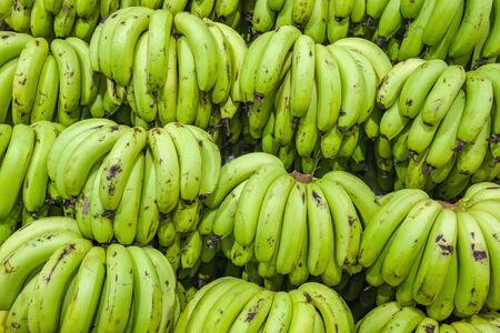 Bunches of green bananas on indian market stallの写真素材