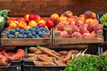 Farmers food market stall with variety of organic vegetables.の写真素材
