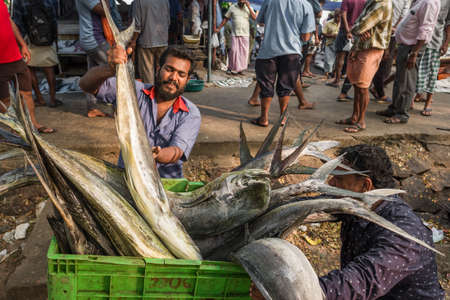Indian fisherman carry box with fishes on fish market in Fort Kochi, Indiaのeditorial素材