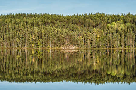 Autumn forest lake reflection landscape.