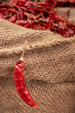 Dried red chili peppers in sacks for sale at the marketの写真素材