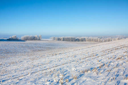 Winter landscape with snow covered agriculture field.の写真素材