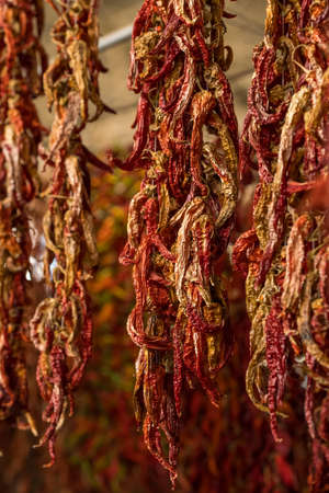 Close-up of red dried chili pepper hanging on the market in Turkeyの写真素材