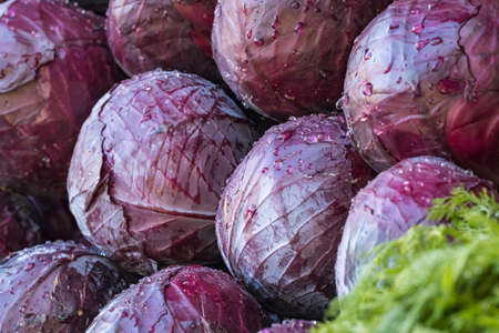 Red cabbage on the farmers marketの写真素材