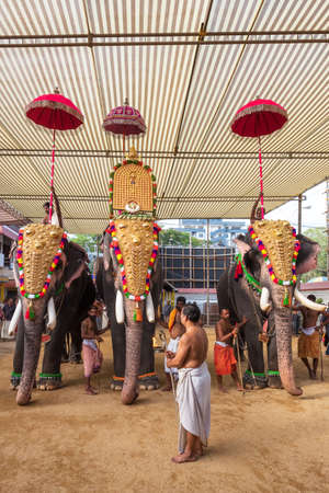 Decorated elephants at temple festival in Siva temple, Ernakulam, Kerala, Indiaのeditorial素材