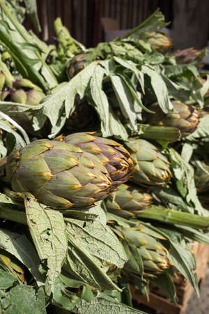 Close up view of green artichokes at local farmers market in Sicily, Italyの写真素材