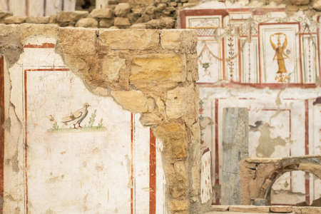 Ruins of antique terrace houses in Ephesus ancient city, Turkeyの写真素材