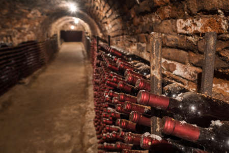Old wine bottles in rows in the wine cellarの写真素材