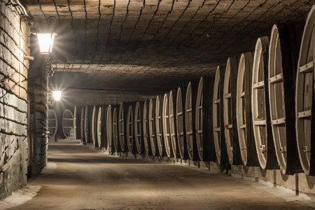 Underground wine barrels at Milestii Mici Winery near Chisinau, Moldova