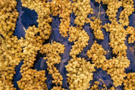 Ripe green grapes on the fruit market close-upの写真素材